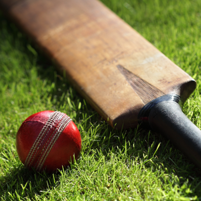 CRICKET (15 players)